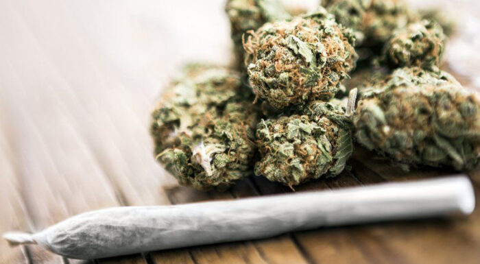Educación sobre la marihuana (Marijuana Education)